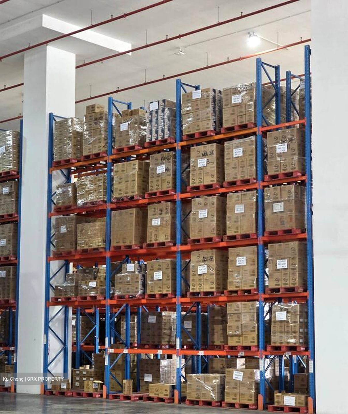 Tuas Avenue 1 (D22), Factory #454793261